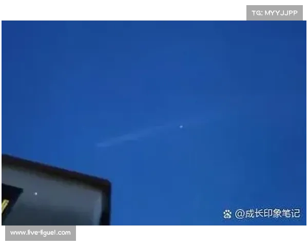 美国选手掷盘弧线百米,观众惊叹“迷你UFO”划过天空 美国选手掷盘弧线百米,观众惊叹“迷你UFO”划过天空